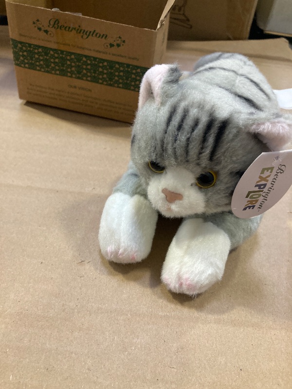 Photo 1 of Bearington Collection Lil' Socks Cat Plush Toy - 8-Inch Striped Realistic Cat Stuffed Animal for Kids
