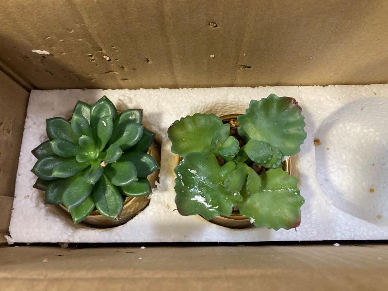 Photo 1 of Briful Small Artificial Succulents in Pots Set of 3 Realistic Faux Succulents Plants with Gold Ceramic Pots Cute Mini Fake Plants Décor for Modern Home Table Office Desk Bathroom Shelf Decoration