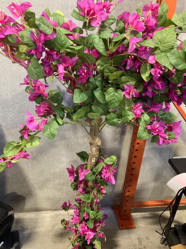 Photo 1 of 63in(5.2ft) Artificial Bougainvillea Tree
 
 
 

 
 
 
 