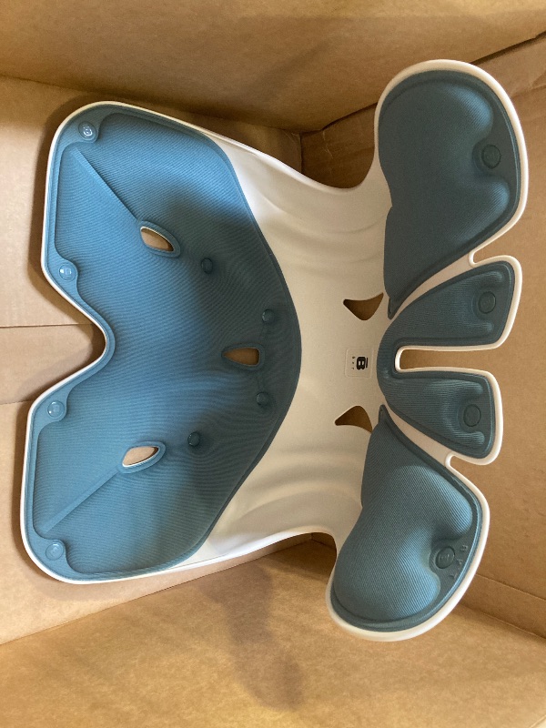 Photo 1 of BKT Lumbar Support Seat Cushions Oversized Edition Engoromic Office Chair for Students Office Workers Nursing Mothers Long Sitting Outdoor Fishing Floor Chair (XL-Misty Blue)
