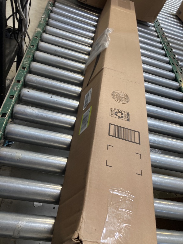 Photo 1 of   Walking Stick  
