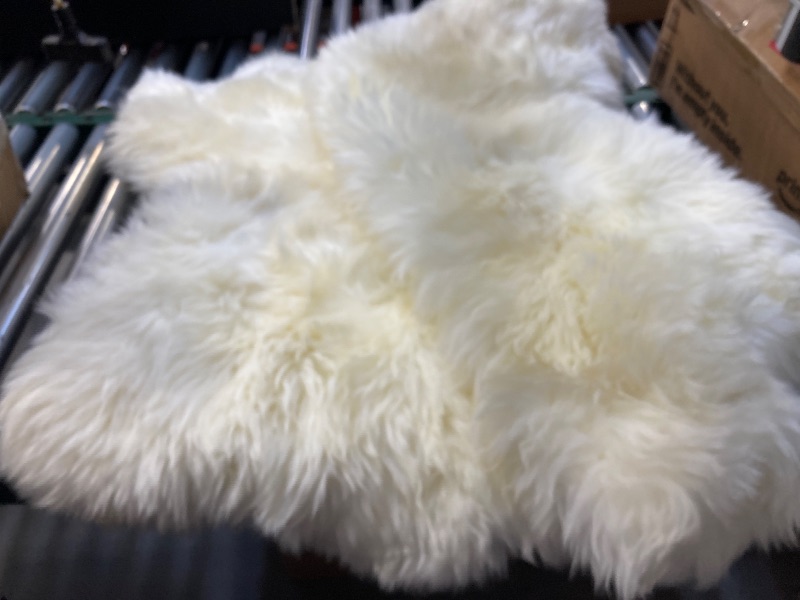 Photo 1 of Small Rug 