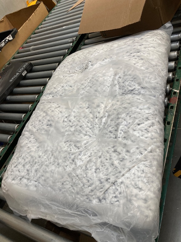 Photo 1 of medium dog bed 