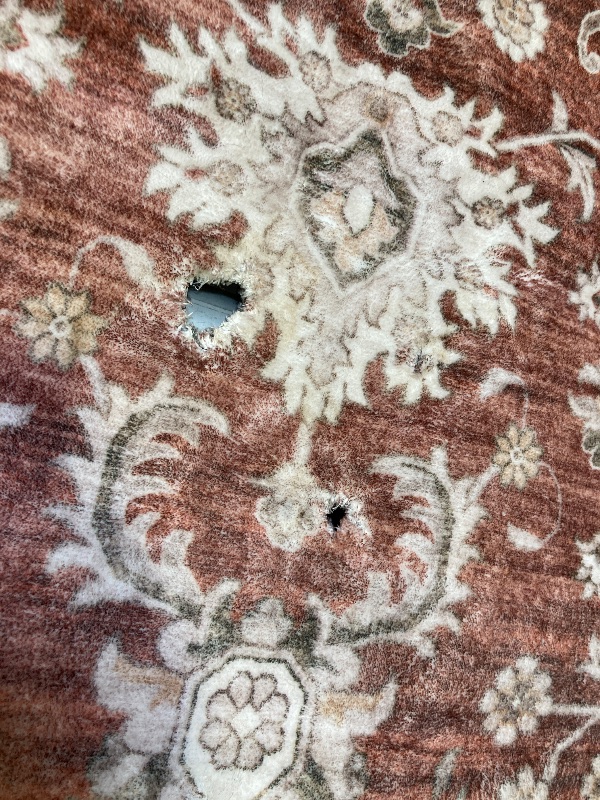 Photo 1 of 5'X7' AREA RUG 
