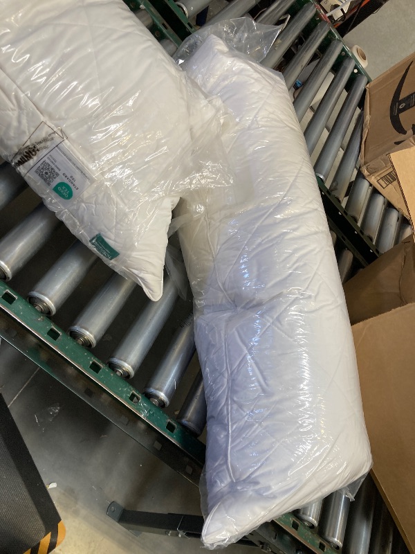 Photo 1 of 2 LONG PILLOWS 
