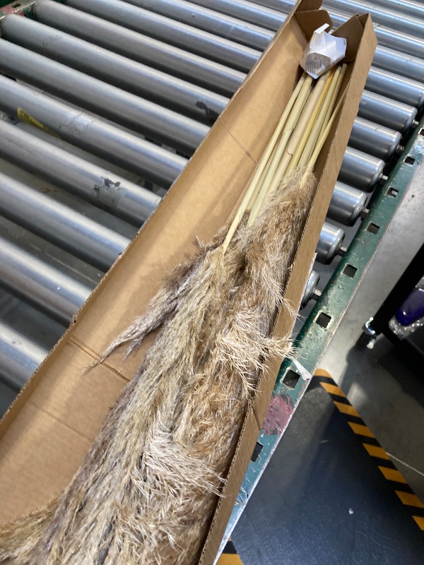 Photo 1 of  40" inch 12 pcs Natural Pampas Grass Decor Tall,Boho Home Decor,Pompas Grass,Dried Tall Pampas Grass for Wedding Floral Arrangements,Farmhouse,Party,Farmhouse,Wall,Bedroom Decor 