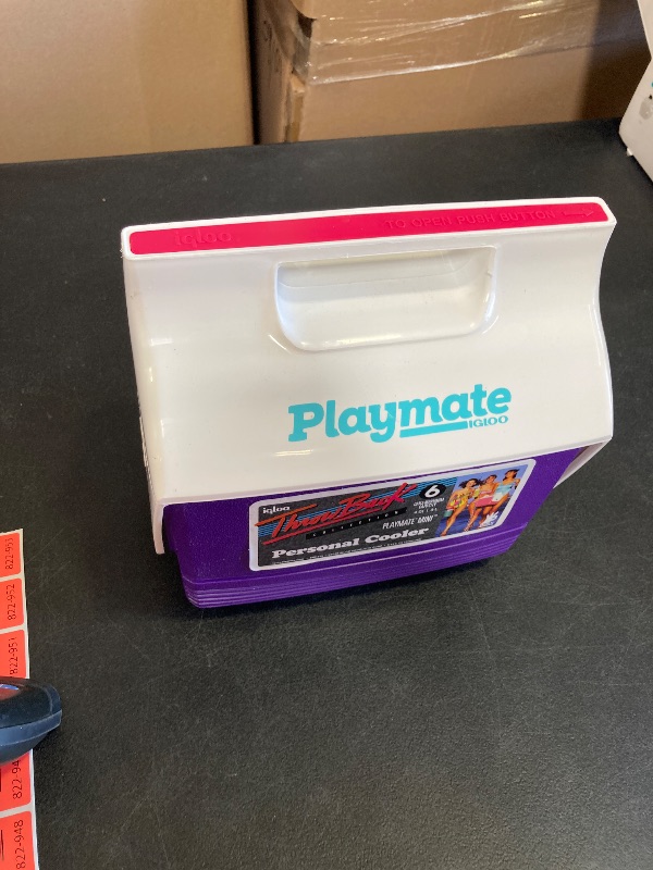 Photo 1 of Igloo 4 Qt Playmate Mini Hardsided Lunch Box Cooler, Purple