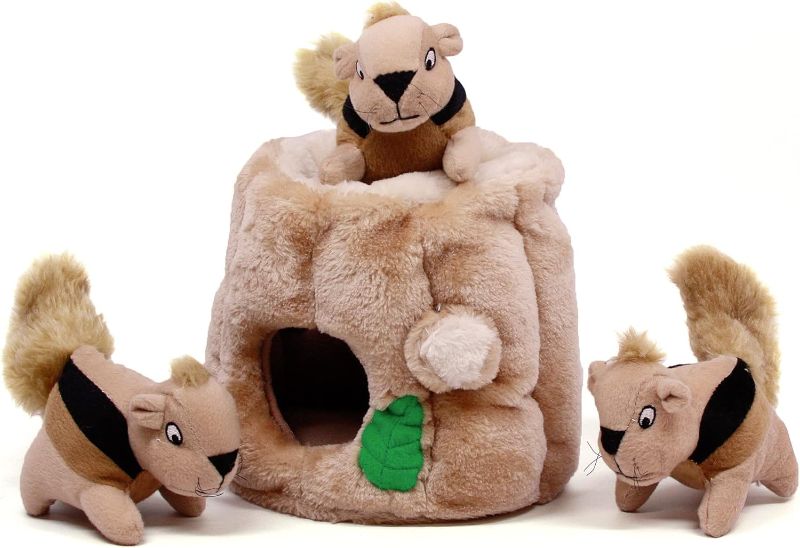 Photo 1 of Outward Hound Hide A Squirrel Plush Dog Toy Puzzle, Medium
