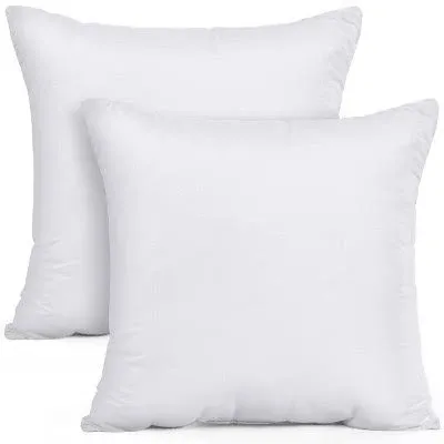Photo 1 of Throw Pillow Inserts  20X20