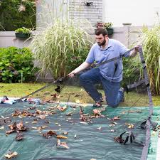Photo 1 of 20 x 28 ft Leaf Collection Net