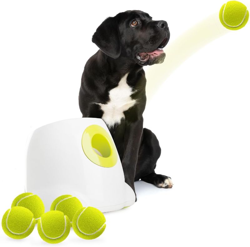 Photo 1 of ALL FOR PAWS Automatic Dog Ball Launcher Maxi, Interactive Ball Thrower Dog Toys Includes 6pcs Tennis Balls for Large Dogs
