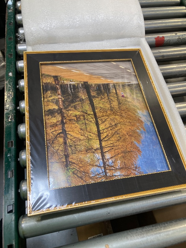 Photo 1 of small home and office picture frame, small picture frame for home, gold trim 