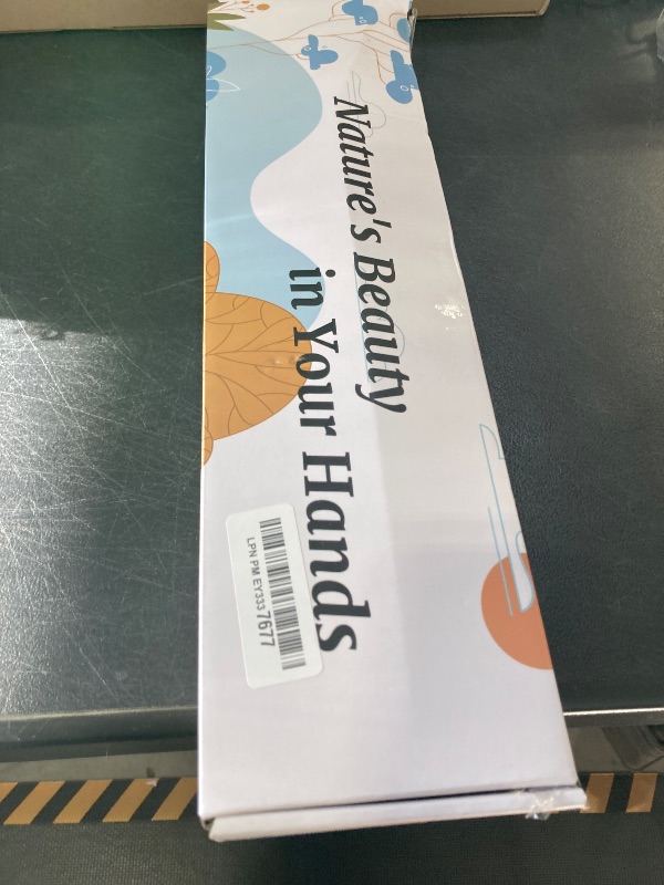 Photo 1 of 10 Pieces Dried White Italian Ruscus Eucalyptus - Real Preserved Ruscus Stem Branches, Real White Dried Floral Plant Pampas Green Leaves Bundle for Boho Wedding Party, Home Decor, Vase Filler