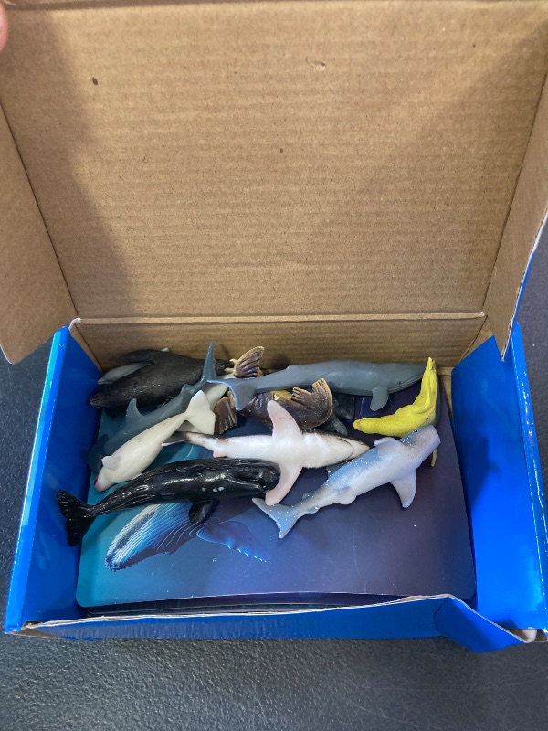 Photo 1 of 12 PCS Plastic Marine Animal Figurines with 12 Introduction Flashcards, Ocean Animals Learning Recognition Cards Realistic Undersea Animal Figures Educational Learning Toy Set for Kids, Classroom