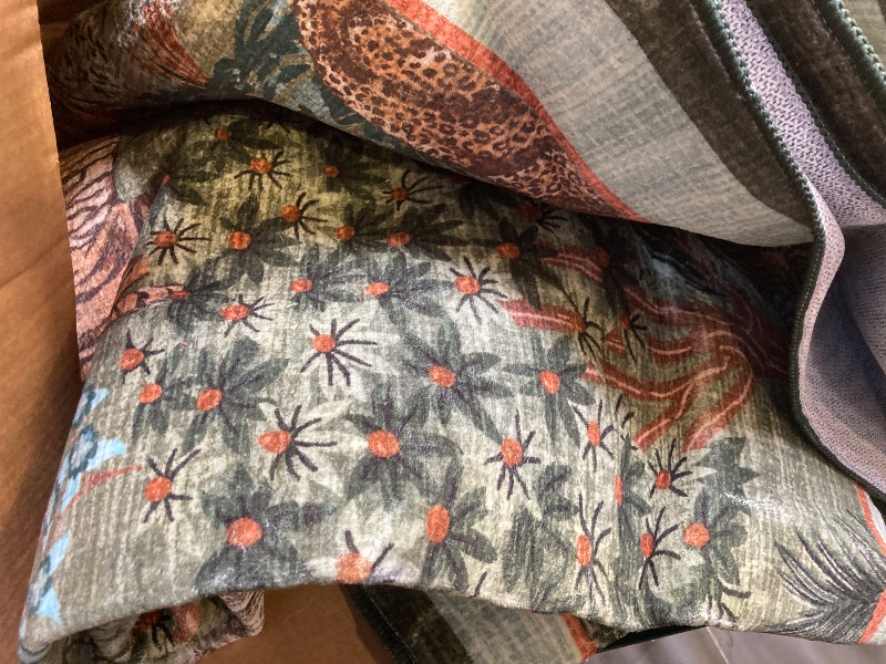Photo 1 of Large Area Rug 