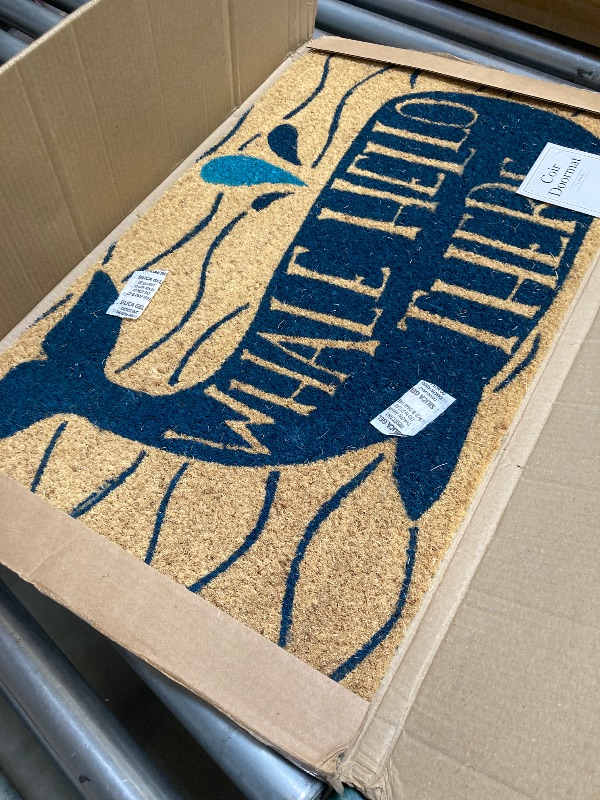 Photo 1 of DII Fun Greetings Home Décor Indoor/Outdoor Natural Coir Fiber Doormat