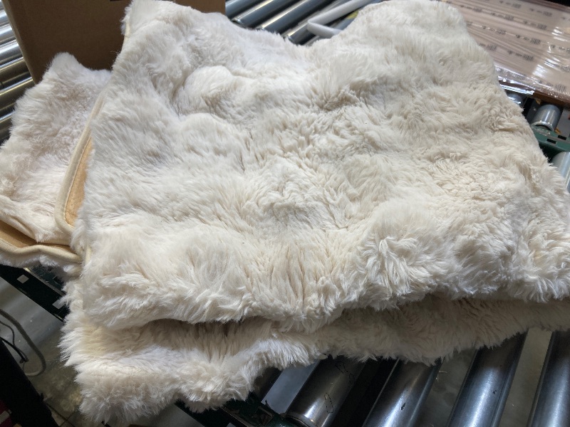 Photo 1 of Medium Size Rug