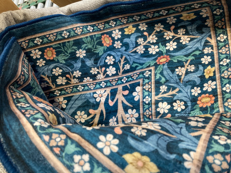 Photo 1 of XL Area Rug