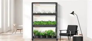 Photo 1 of  Plant Shelf with Grow Lights, Greenhouse with Cover 
