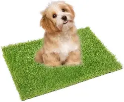 Photo 1 of 22"X34" Green Artificial Grass for Pet 