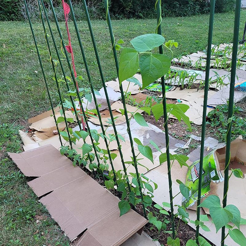 Photo 1 of Garden Plant Stakes 57 Inch (Approx 5Ft) Tomato Stakes, 20 Pack Steel Plant Stick Support for Growing Climbing Plants, Garden Fences Poles
