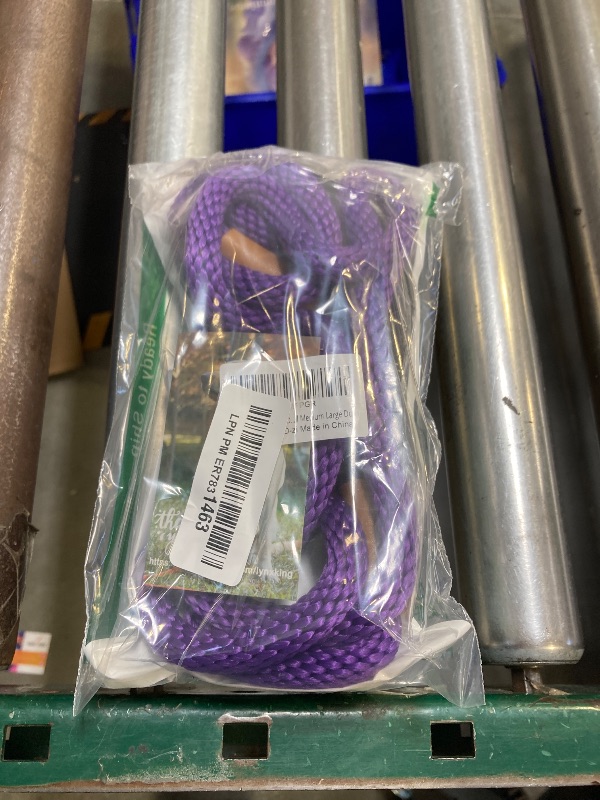 Photo 1 of Purple Leash 