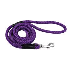 Photo 1 of Purple Leash 