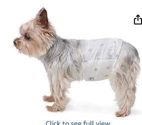 Photo 1 of Amazon Basics Male Dog Diapers, 30 Count, X-Small, Ultra Absorbent Disposable Wrap with Secure Fit, Leakproof and Comfortable

