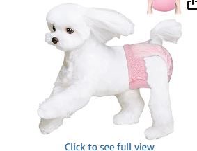 Photo 1 of Ambreview Disposable Dog Diapers Female, Just Pull It Up, Doggie Diapers for Female Dogs, Strong Absorbency | Leak Proof, for Dogs in Heat | Elderly | Disabled, M 10 PCS