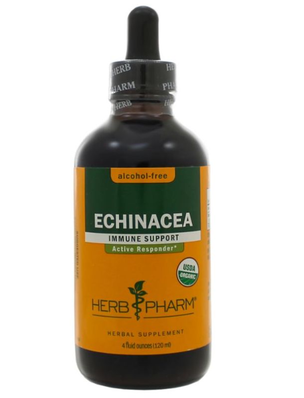 Photo 1 of Echinacea Glycerite by Herb Pharm 4 Ounces
