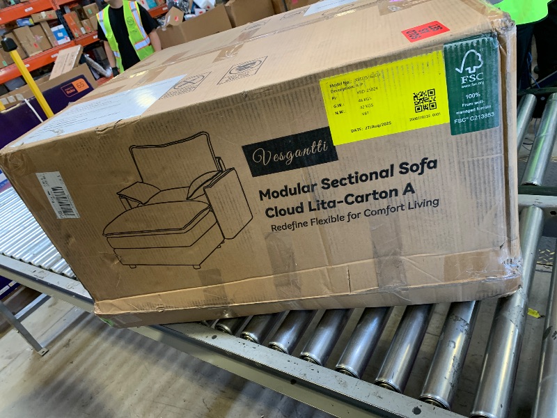 Photo 1 of Modular sectional sofa cloud lita - carton a 
