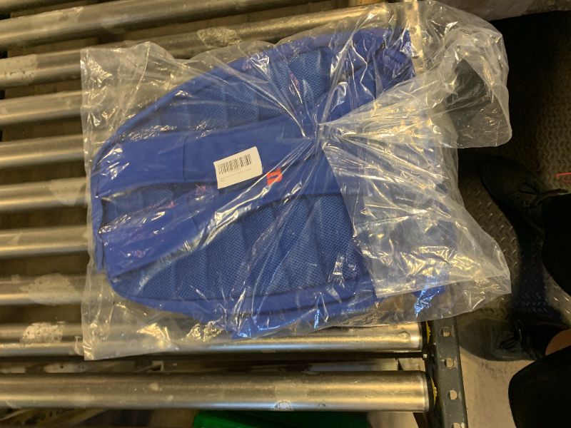 Photo 1 of BLUE BACKPACK