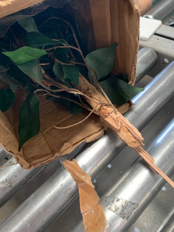 Photo 1 of (snapped in half)(see images) Nearly Natural 5ft Artificial Ficus Tree, Triple Trunk Faux Greenery with Natural Wood Trunks for Indoor Home Decor, with Black Nursery Pot