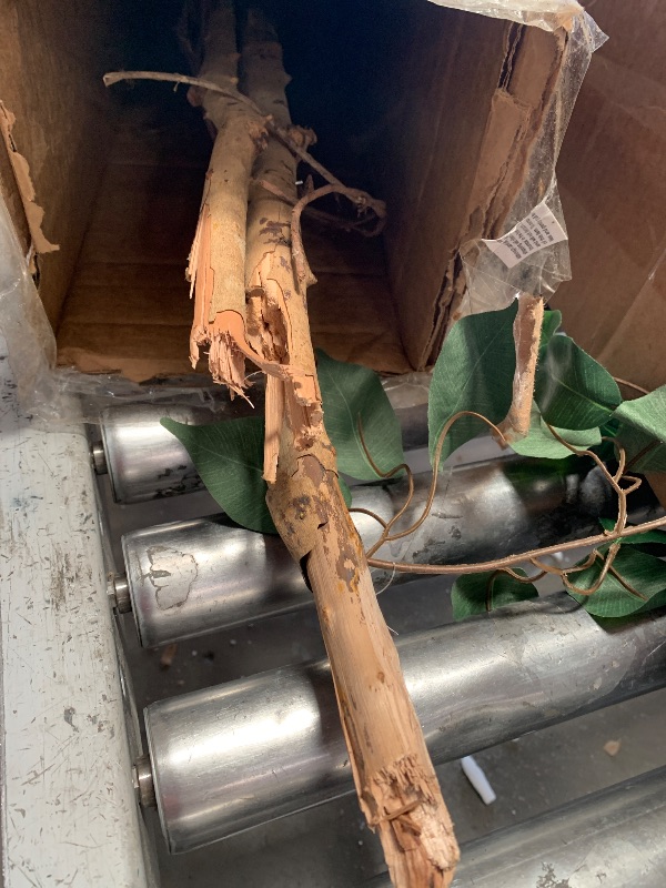 Photo 1 of (snapped in half)(see images) Nearly Natural 5ft Artificial Ficus Tree, Triple Trunk Faux Greenery with Natural Wood Trunks for Indoor Home Decor, with Black Nursery Pot