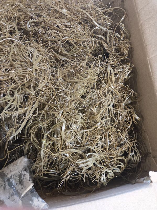 Photo 1 of ***PLASTIC*** Afloral | Artificial Flower Arrangements | Natural Dried Spanish Moss | Faux Plants for Vase | Tall Branches Home Decor | Real Looking Flower | Long Stem Greenery