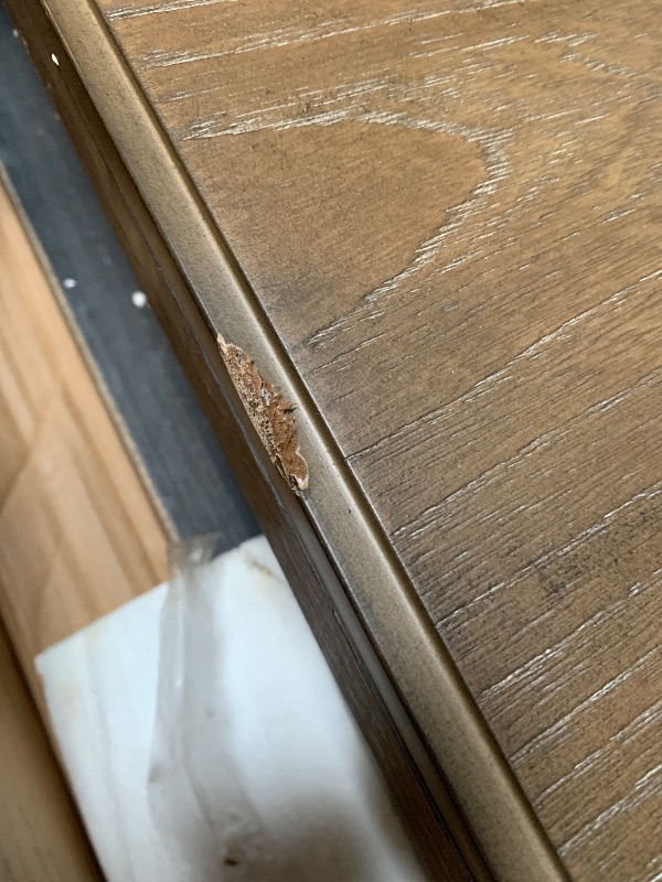 Photo 1 of **** COSMETIC DAMAGE *** Signature Design by Ashley Johnelle Farmhouse Coffee Table with Weathered Gray Finish, Gray
