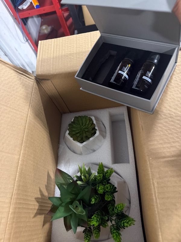 Photo 1 of ******MISSING ONE OIL******2in1 Reed Diffusers for Home & Faux Succulents Plants Artificial Set-Ceramic Potted Succulents x2 Pcs, Home Fragrance w/Lavender, Lemongrass, Eucalyptus Essential Oilx3 bottles 30ml with 9 Reed Sticks
