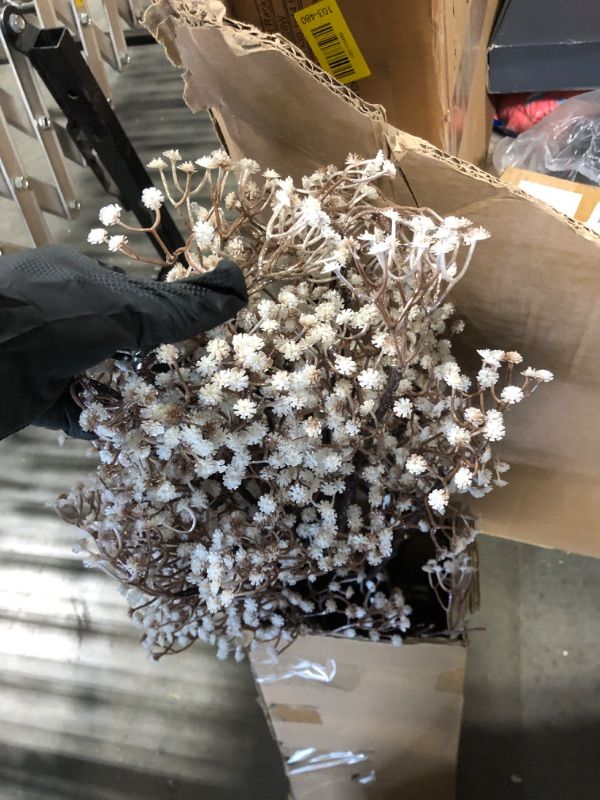 Photo 1 of **SOLD AS IS NO REFUND/RETURN** SEE COMMENTS!~
Hairui Lighted Gypsophila Tree 4FT 90 LED Artificial Baby Breath Flowers with Lights for Wedding Party Winter Christmas Holiday Decoration