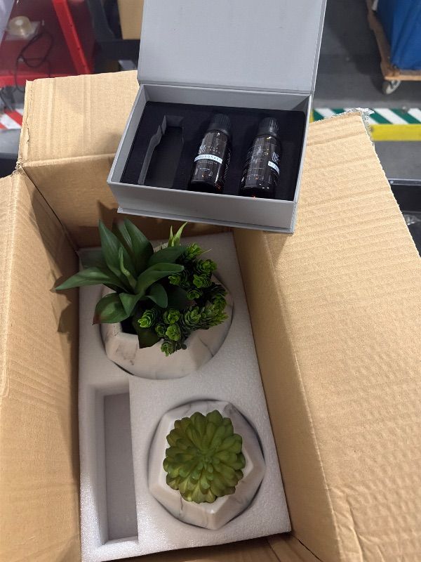 Photo 1 of *****MKISSING ONE OIL*****2in1 Reed Diffusers for Home & Faux Succulents Plants Artificial Set-Ceramic Potted Succulents x2 Pcs, Home Fragrance w/Lavender, Lemongrass, Eucalyptus Essential Oilx3 bottles 30ml with 9 Reed Sticks