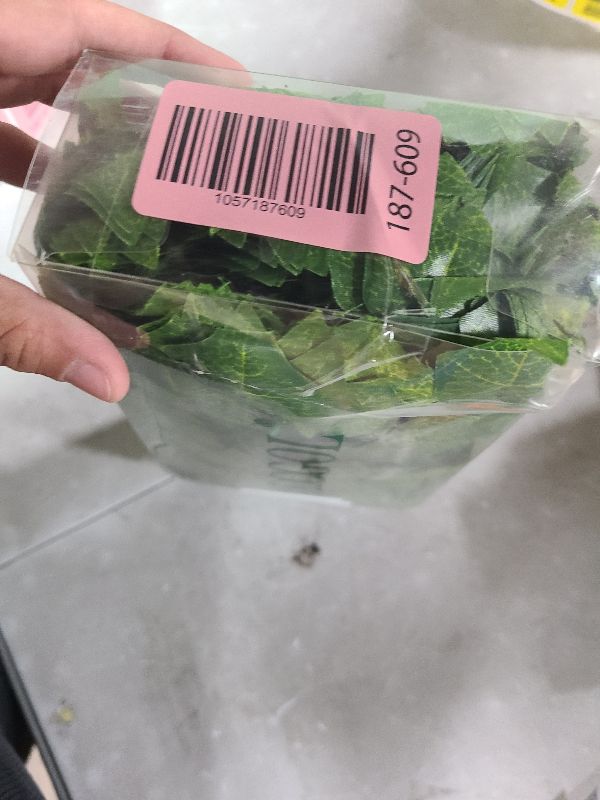 Photo 1 of 24 Pack 172 FT Artificial Ivy Garland Greenery Outdoor Faux Plants Leaf Garland Fake Vines for Bedroom Aesthetic Home Garden Office Wedding Wall Decor