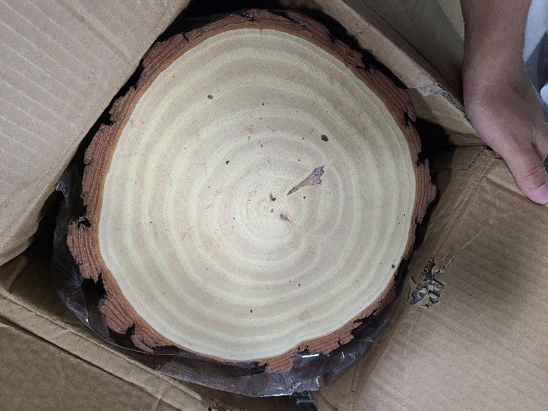 Photo 1 of 10 Pcs 9-11 Inch Unfinished Wood Slices for Centerpieces,Natural Wood Rounds for Crafts Rustic Wedding and Table Decorations,Wooden Discs with Tree Bark,Ideal for Crafts,Painting,and Holiday Decor