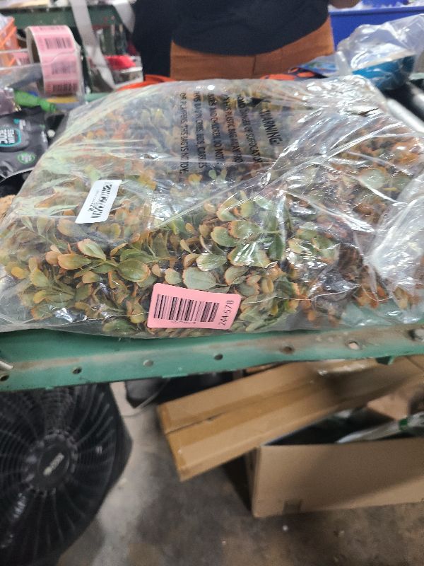 Photo 1 of 26'' Large Fall Wreath for Front Door, Porch, Window- Artificial Boxwood Leaves Outdoor Autumn Wreath for Home, Farmhouse Wall Thanksgiving Day Harvest Festival Decor