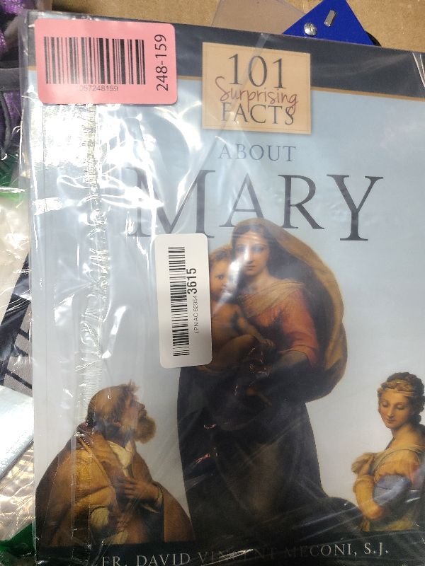 Photo 1 of 101 Surprising Facts About Mary