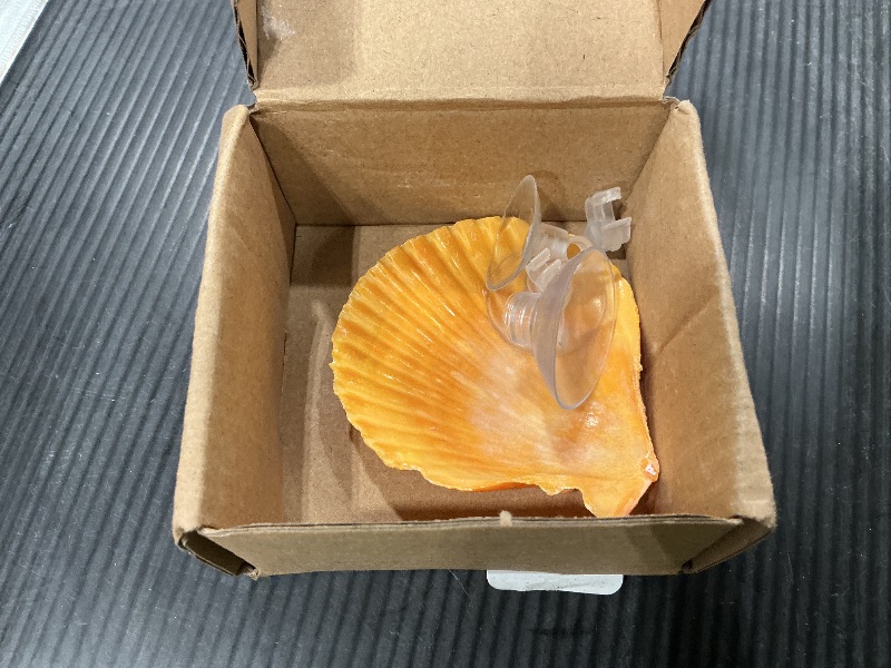 Photo 1 of  Betta Fish Resting Spot House Shell Bed Toys for Aquarium Small Fish Hide Decoration Natural Habitat Spawning Grounds for Betta Shrimp Cichlid Breeding