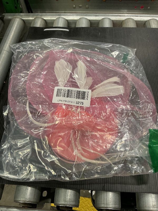 Photo 1 of *Minor Damaged*
AQOKKA Women Fascinators Hats Flower Fascinators with Headband and Clip Tea Party Headwear for Women and Girls