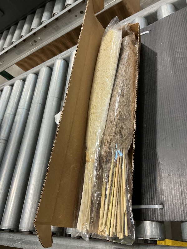 Photo 1 of (Prototype) 55" inch Scarcity Natural Pampas Grass Decor Tall, pompas Grass, Tall Pampas Grass for Wedding, Party, Farmhouse, Boho Home Decor