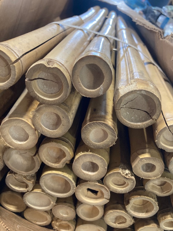 Photo 1 of ****SOME OF THE BAMBOO PANELS ARE CRACKED*** Backyard X-Scapes Natural Bamboo Fence Decorative Rolled Fence Panel 90" H x 48" L x 1" D