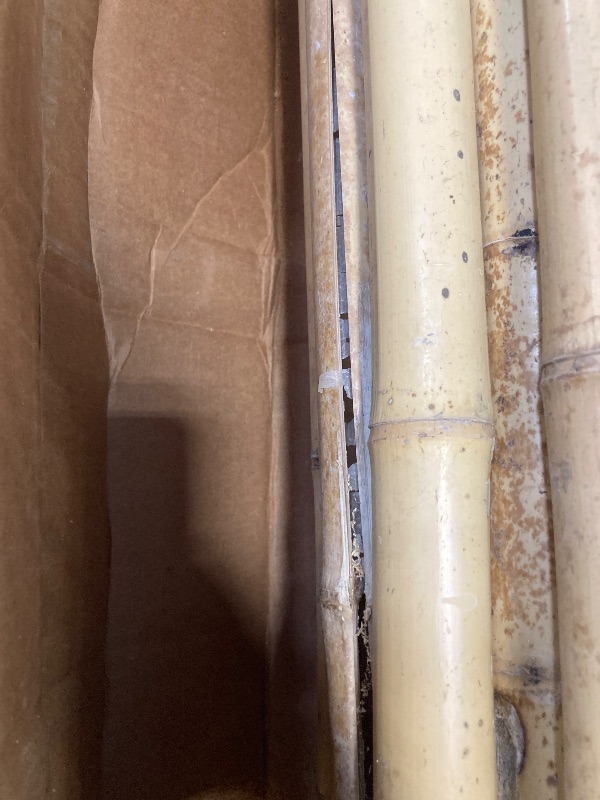 Photo 1 of ****SOME OF THE BAMBOO PANELS ARE CRACKED*** Backyard X-Scapes Natural Bamboo Fence Decorative Rolled Fence Panel 90" H x 48" L x 1" D