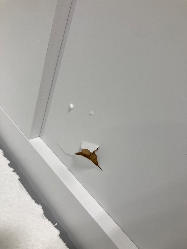 Photo 1 of ****MINOR DAMAGE ON ONE OF THE DOORS, MINOR CHIPPED BOTTOM SIDE****42in x 84in, Double 21in×84in Barn Door with Hardware & Handle Included,Pre-Assembled Doors, 5 Panels,Pine Wood MDF Board & Waterproof White PVC Covered, Door is Assemblede