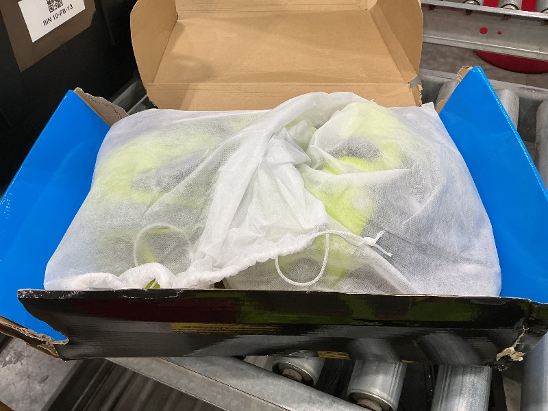 Photo 1 of 2PM SPORTS Girls Adjustable Illuminating Inline Skates with Light up Wheels, Fun Flashing Beginner Roller Skates for Kids - Yellow Large